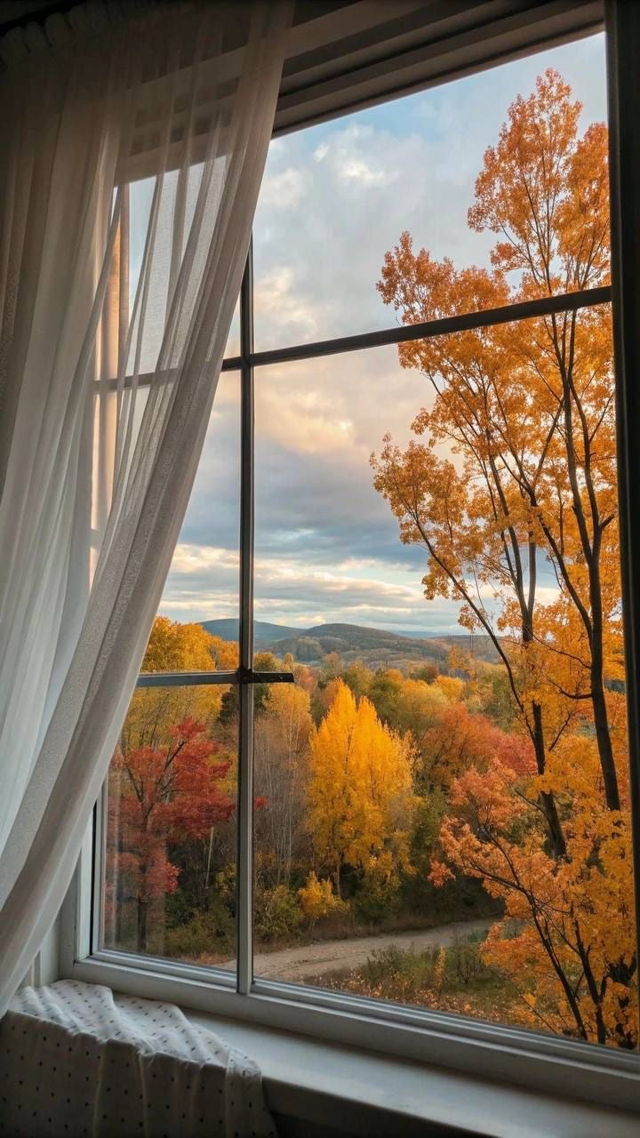 Autumn Collection
